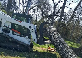 tree services in weatherford tx