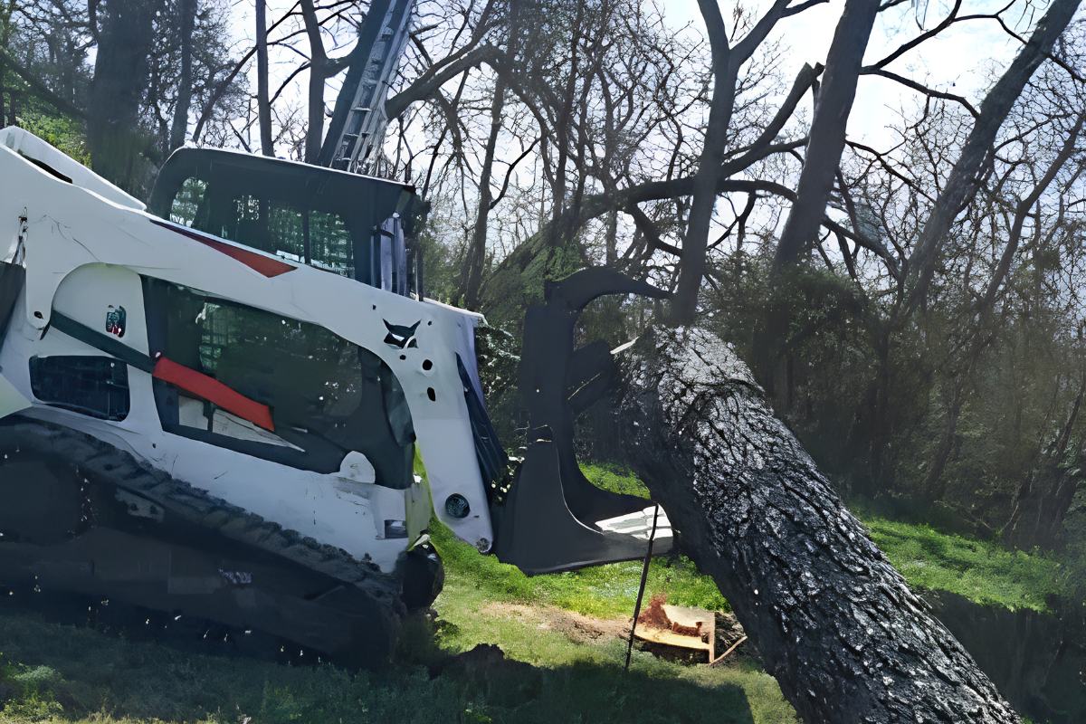 Tree services in Weatherford, TX